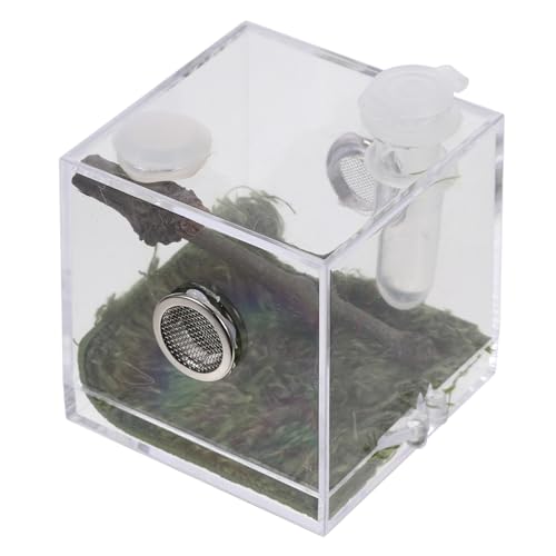 HEMOTON Kasten Springspinnen-Zuchtbox Springspinnen-Terrarium Lebensraum Fall Spinnenfütterungsterrarium acrylbehälter glasgefäß luftbefeuchter Reptilien-Fluchtfall Lebensraum Käfig von HEMOTON