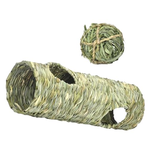 HEMOTON Katzentunnel mit Timotheusgrasball Langlebiges Katzenspielzeug für Kätzchen und Kleintiere Praktischer Spieltunnel für Indoor und Outdoor Fördert Bewegung und Beschäftigung von HEMOTON