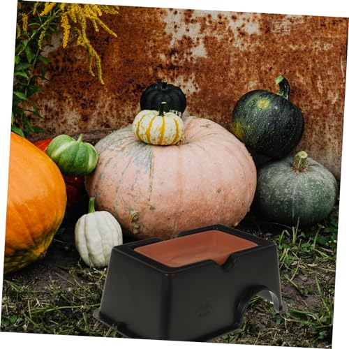 HEMOTON Keramik Reptilienversteck Feuchtigkeitsnest Groß Langlebiges Umweltfreundliches Versteck für Echsen und Geckos Langsame Feuchtigkeitsabgabe für Optimales Terrariumklima Habitat HEMOTON Keramik Reptilienversteck Feuchtigkeitsnest Groß Langlebiges Umweltfreundliches Versteck für Echsen und Geckos Langsame Feuchtigkeitsabgabe für Optimales Terrariumklima Habitat von HEMOTON