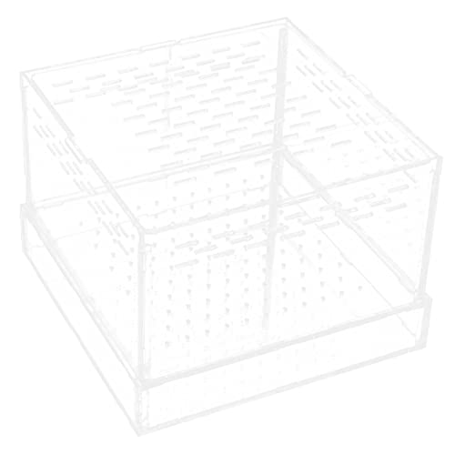 HEMOTON Kleine Transparente Zuchtbox für Mehlwürmer und Reptilien mit Belüftungslöchern Praktischer Futter und Transportbehälter Geeignet für Reptilienhalter und Insektenzucht HEMOTON Kleine Transparente Zuchtbox für Mehlwürmer und Reptilien mit Belüftungslöchern Praktischer Futter und Transportbehälter Geeignet für Reptilienhalter und Insektenzucht von HEMOTON