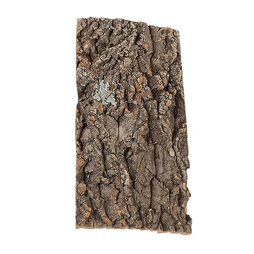 HEMOTON Kletternde Korkrinde für Terrarien Dekorative für Reptilien für Aquarien und Terrarien Natürliches Habitat für Eidechsen und Schildkröten HEMOTON Kletternde Korkrinde für Terrarien Dekorative für Reptilien für Aquarien und Terrarien Natürliches Habitat für Eidechsen und Schildkröten von HEMOTON