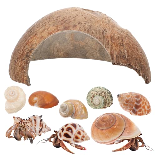 HEMOTON Kokosnussschalen Versteck für Kleintiere mit Krabbenhäuschen und Großen Einsiedlerkrebs Muscheln Geeignet für Reptilien und Dekoration im Aquarium Sicher und Natürlich HEMOTON Kokosnussschalen Versteck für Kleintiere mit Krabbenhäuschen und Großen Einsiedlerkrebs Muscheln Geeignet für Reptilien und Dekoration im Aquarium Sicher und Natürlich von HEMOTON