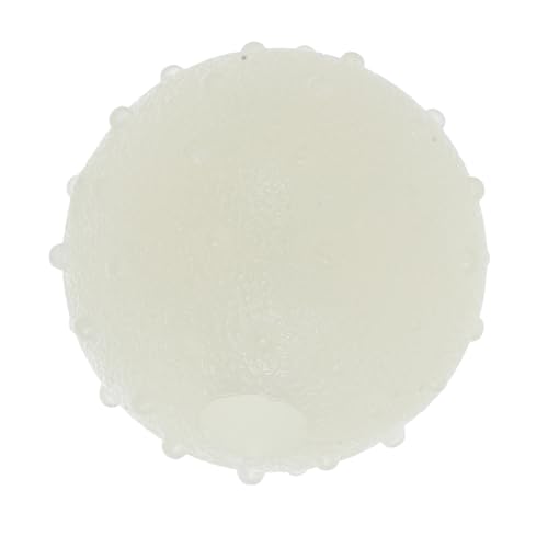 HEMOTON Leuchtender Gummiball für Quietschendes Springendes für Kleine bis Mittelgroße Interaktives Kauspielzeug zur Stärkung Bindung zwischen Haustier und Halter HEMOTON Leuchtender Gummiball für Quietschendes Springendes für Kleine bis Mittelgroße Interaktives Kauspielzeug zur Stärkung Bindung zwischen Haustier und Halter von HEMOTON