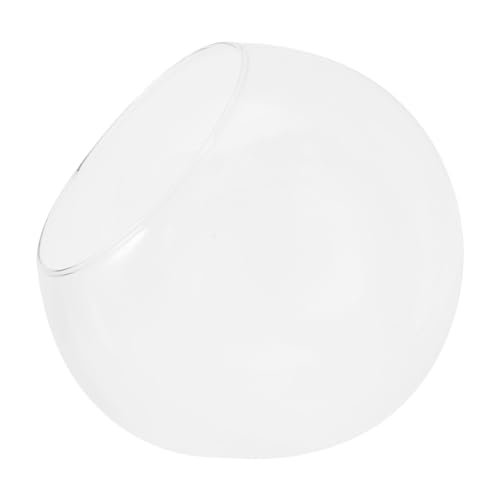 HEMOTON Micro Landscape Glasvase Schräghals Pflanzgefäß für Sukkulenten und Luftpflanzen DIY Terrarium Vase für Hydrokultur und Dekoration Vielseitiges Glas pflanzenterrarium für Zuhause von HEMOTON