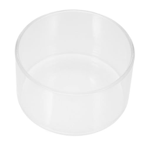 HEMOTON Mikro Landschaftsflasche Pflanzen Moos Luftpflanze Terrarium Innen Terrarium Glas Terrarien Klein DIY Farn Leer Terrarium Mikro Landschafts Pflanzgefäß Flasche von HEMOTON