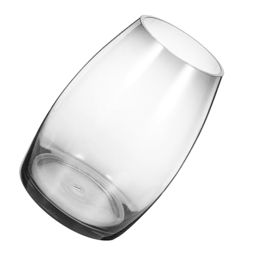 HEMOTON Mikrolandschaftsvase Aus Glas Pflanzenterrarium Empfindliches Aquarium Terrarientopf Mikropflanzen-hydrokulturflasche Glastöpfe Für Pflanzen Aquarium Aquarium Fischvase Transparent von HEMOTON