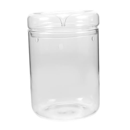 HEMOTON Moos Ökologische Vase Pflanzen Moos Landschaftsbehälter Transparente Flasche Terrarium Moos Ökologische Flasche Moos Pflanzenflasche Einfache Flasche Landschaftsflasche von HEMOTON