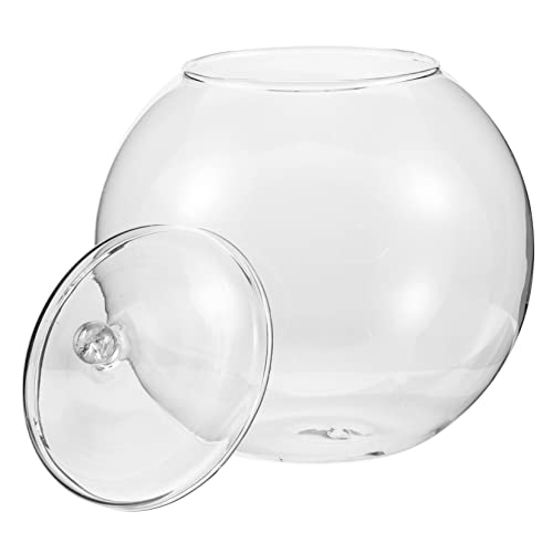 HEMOTON Flasche Terrarium Pflanzenterrarium Glasflasche Landschaft Ökologische Blume Dekorativ Behälter DIY Landschaftsflasche Moos Pflanzen von HEMOTON