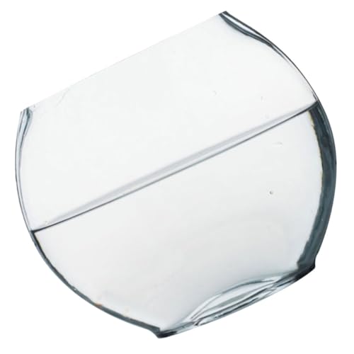 HEMOTON Ökologische Glasflasche Transparentes Terrarium für Pflanzen Dekorative Blütenvase und Landschaft Langlebiges Design für Raumgestaltung von HEMOTON