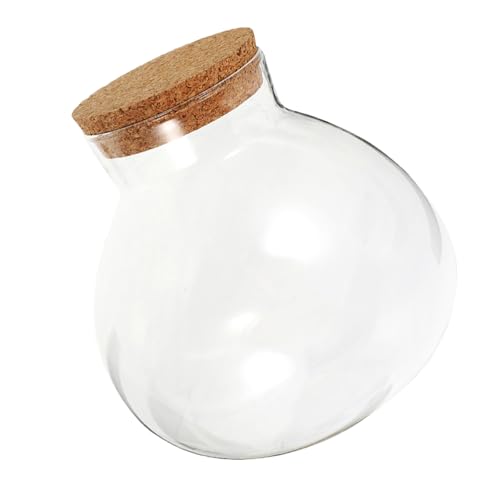 HEMOTON Ökologische Mikrolandschaftsflasche Querformat Glasflasche Terrarium-Displayglas Moos-Landschaftsbauflasche verschlossenes Glasgefäß Knospenvase saftiges Terrarium Kork Transparent von HEMOTON