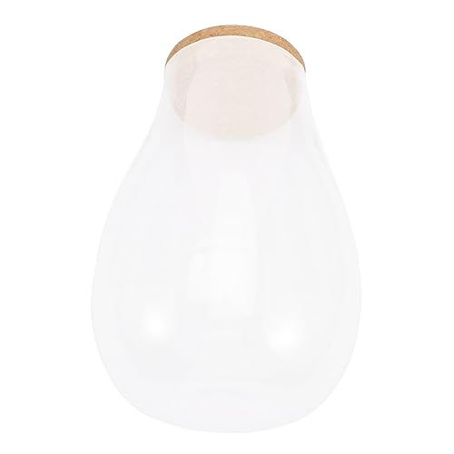 HEMOTON Ökologische Mikrolandschaftsflasche klein Terrarien Landschaft Terrarium Fisch Mini zimmerpflanzen Sustainability Decor hydroponisches Pflanzenterrarium hydroponische Flasche Glas von HEMOTON