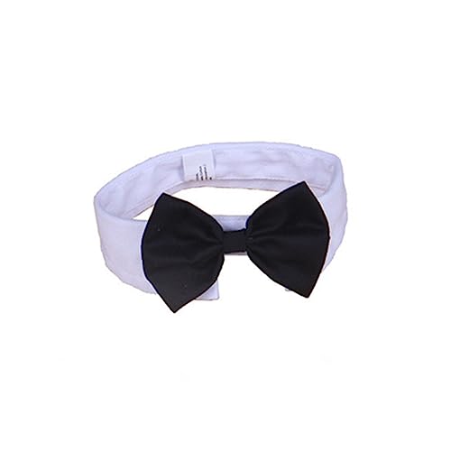 HEMOTON Pet Bow Tie für Hund Katze Verstellbar Langlebig mit Clip Modisch Weiß Eleganter Haustier Fliegenkragen für Besondere Anlässe und Alltag von HEMOTON
