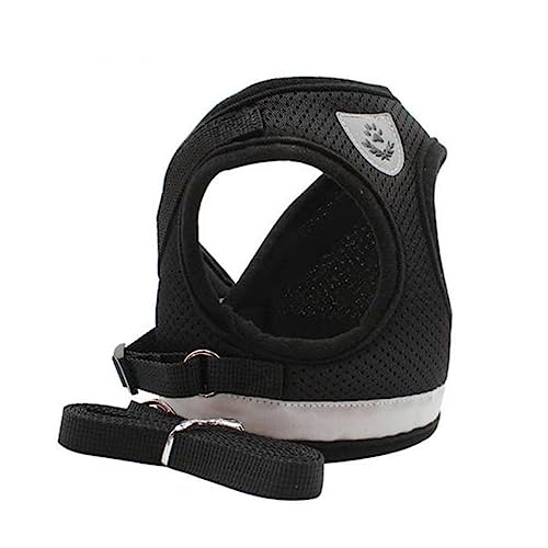HEMOTON Reflektierendes Hundegeschirr mit Leine Verstellbares Hundeharness für Kleine und Mittelgroße Hunde für Nächtliche Ergonomisches Design Leicht und Kompakt HEMOTON Reflektierendes Hundegeschirr mit Leine Verstellbares Hundeharness für Kleine und Mittelgroße Hunde für Nächtliche Ergonomisches Design Leicht und Kompakt von HEMOTON