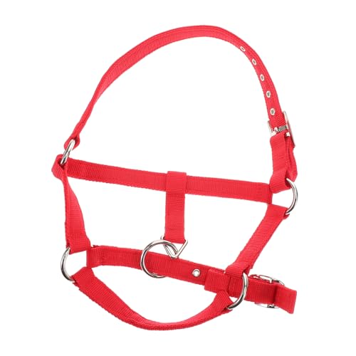 HEMOTON Reittraining für pferdegeschirr REIT zubehör Wadenhalfter Schafhalter abreißbares Halfter gepolstertes Pferdehalfter Seilhalfter Kinnriemenabdeckung Pferdekostüm Nylon rot von HEMOTON