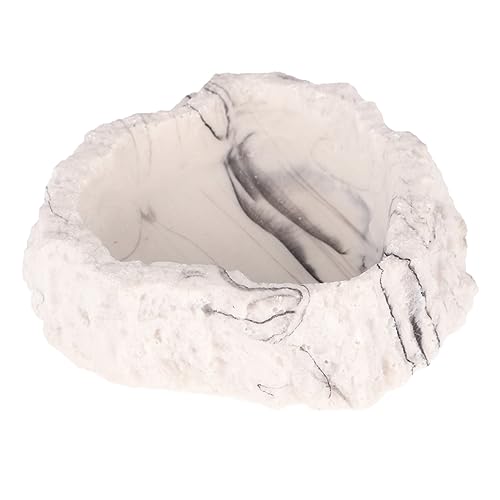 HEMOTON Reptilien Futter und Wasserschale aus Harz Naturgetreue Textur für Schildkröten Geckos und Schlangen Pflegeleicht und Langlebig für Terrarien und Zuchtzwecke HEMOTON Reptilien Futter und Wasserschale aus Harz Naturgetreue Textur für Schildkröten Geckos und Schlangen Pflegeleicht und Langlebig für Terrarien und Zuchtzwecke von HEMOTON