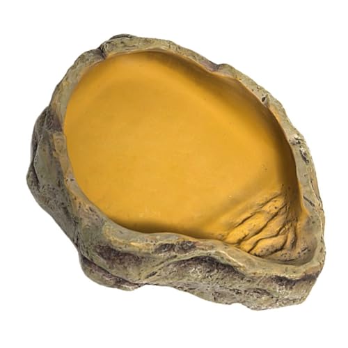 HEMOTON Reptilien Futter und Wasserschale aus Resin Hochtemperaturbeständig Mittelgroß für Schildkröten Geckos und Eidechsen HEMOTON Reptilien Futter und Wasserschale aus Resin Hochtemperaturbeständig Mittelgroß für Schildkröten Geckos und Eidechsen von HEMOTON
