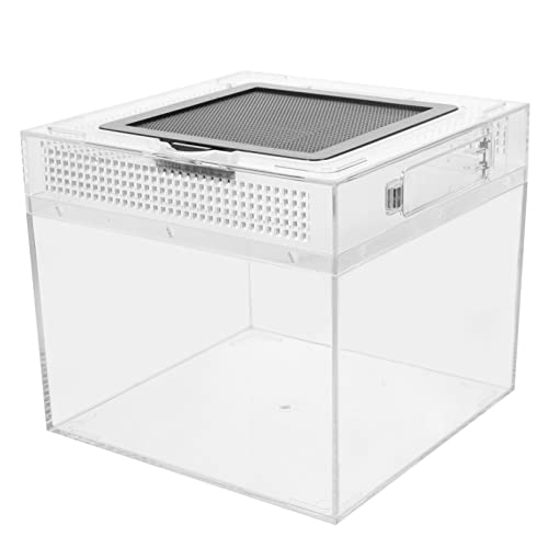 HEMOTON Reptilien Inkubator Hochtransparente Aufzuchtbox für Eidechsen Spinnen und Schildkröten mit Belüftungsöffnungen für Kleine Haustiere und Terrarienhaltung HEMOTON Reptilien Inkubator Hochtransparente Aufzuchtbox für Eidechsen Spinnen und Schildkröten mit Belüftungsöffnungen für Kleine Haustiere und Terrarienhaltung von HEMOTON