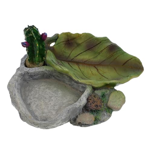 HEMOTON Reptilien Wassernapf Für Haustiere Für Schildkröten Und Eidechsen Glatte Oberfläche Multifunktional Futter Und Wasserbehälter Für Terrarien Und Aquarien von HEMOTON