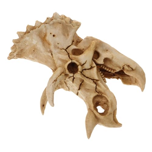 HEMOTON Schädel Ornament für Garnelenverstecke Aquarium Dekoration aus Hochwertigem Harz für Reptilien und Details HEMOTON Schädel Ornament für Garnelenverstecke Aquarium Dekoration aus Hochwertigem Harz für Reptilien und Details von HEMOTON
