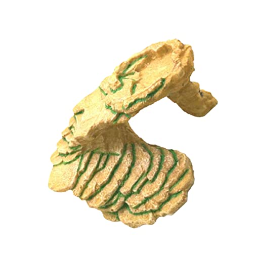 HEMOTON Schildkröten Sonnenplatz Aquarium Ornament aus Hochwertigem Harz Realistische Kletterrampe und Versteck Wasserdichtes Reptilien Badeschalen Zubehör für Terrarien und Fischbecken HEMOTON Schildkröten Sonnenplatz Aquarium Ornament aus Hochwertigem Harz Realistische Kletterrampe und Versteck Wasserdichtes Reptilien Badeschalen Zubehör für Terrarien und Fischbecken von HEMOTON