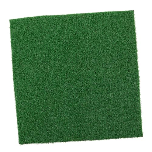 HEMOTON Schildkröten Terrassenmatte Aquariumgras Kunstrasen Schildkröten Terrarium Rasenquadrate Kunstrasenteppich Hundetrainingsunterlagen Rasentischläufer Kunstrasen HEMOTON Schildkröten Terrassenmatte Aquariumgras Kunstrasen Schildkröten Terrarium Rasenquadrate Kunstrasenteppich Hundetrainingsunterlagen Rasentischläufer Kunstrasen von HEMOTON