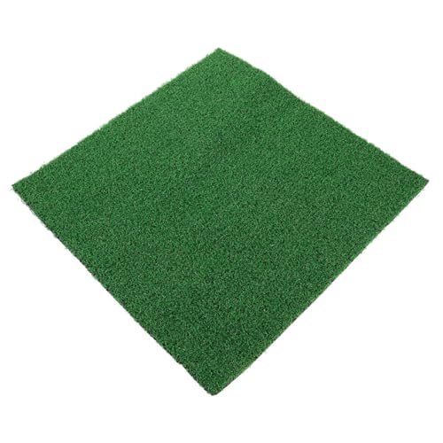 HEMOTON Schildkrötenzubehör für Panzer wasserschildkröten Terrarium zubehör künstlicher Rasen Extra große Plattform zum für Schildkröten großes Schildkrötendock Kunstrasen Abs Green von HEMOTON