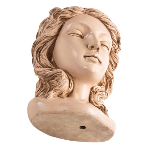 HEMOTON Sukkulenten Blumentopf Sukkulenten Blumentopf Töpfe Für Zimmerpflanzen Pflanzgefäß Sukkulenten Balkon Blumentopf Blumentopf Blumentopf Desktop Schmuck von HEMOTON