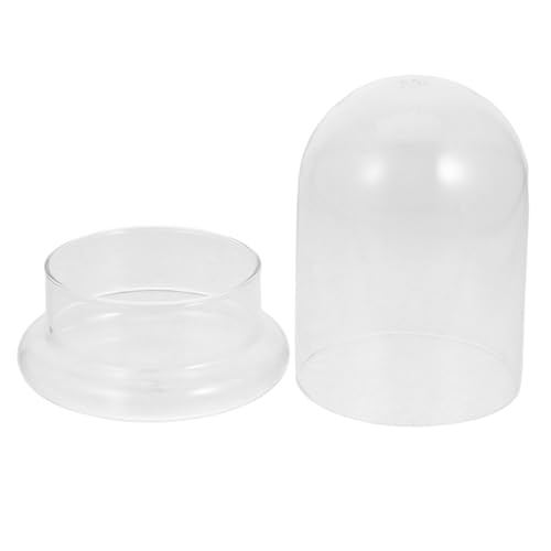 HEMOTON Terrarium Kuppel für Pflanzen DIY Mikrolandschaft Flasche mit Transparente Pflanzenflasche zur Dekoration Ökologische Pflanzenanzeige von HEMOTON