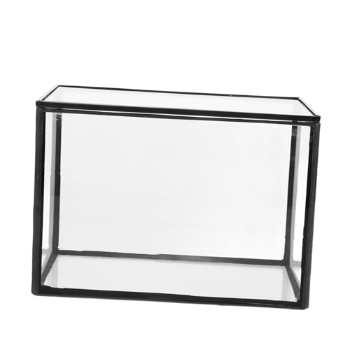 HEMOTON Terrarium für Sukkulenten DIY Landschafts Behälter für Pflanzen Transparentes Vielseitig Einsetzbar für Wohnräume Büro Balkon und Garten von HEMOTON