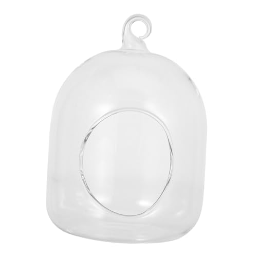 HEMOTON Terrarium für Sukkulenten und Moos Mini DIY Pflanzen Dekoration Leicht und Pflegeleicht für Büro Schreibtisch und HEMOTON Terrarium für Sukkulenten und Moos Mini DIY Pflanzen Dekoration Leicht und Pflegeleicht für Büro Schreibtisch und von HEMOTON