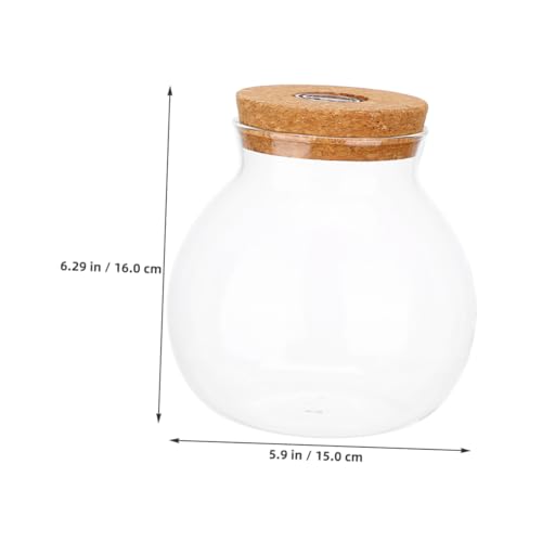 HEMOTON Terrarium mit Korkdeckel LED Beleuchtung Hydroponisches Pflanzgefäß für Desktop Vermehrung Mikrolandschaftliches Ökosystem Vielseitig für Innen und Außendekoration von HEMOTON