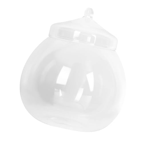 HEMOTON Transparent Moos Flasche Landschafts für Zuhause Büro Garten für DIY Dekoration und Luftqualitätsverbesserung Abgedichtetem Glasbehälter von HEMOTON
