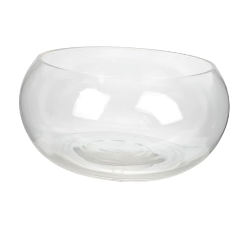 HEMOTON Transparente Fischschale aus Runde Desktop Aquarium Vase für Bürodekoration für Fische Garnelen Schildkröten und Hydrokultur von HEMOTON