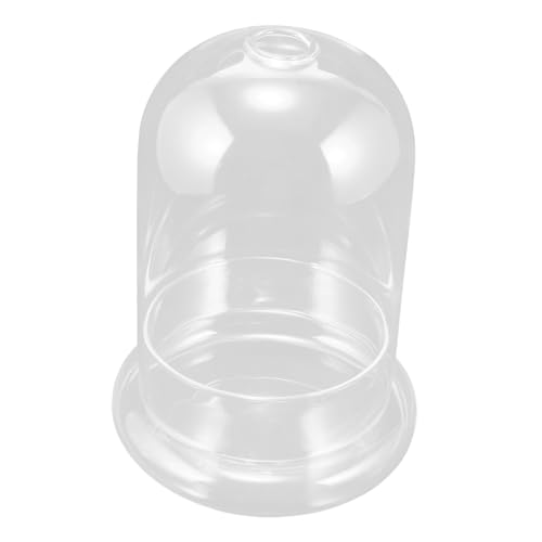 HEMOTON Transparente Glaskuppel mit Basis für Micro Landschaften und Dekoration Stabiles Vielseitige Displayhaube für Künstliche Pflanzen Figuren Ewige Blumen Dekorative Vitrine HEMOTON Transparente Glaskuppel mit Basis für Micro Landschaften und Dekoration Stabiles Vielseitige Displayhaube für Künstliche Pflanzen Figuren Ewige Blumen Dekorative Vitrine von HEMOTON