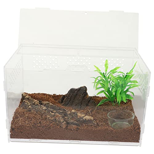 HEMOTON Transparenter Reptilien Terrarium mit Belüftung Terrarium Box für Spinnen Vogelspinnen Frösche und Kleine Reptilien Pflegeleicht Robust für Haltung und Zucht von HEMOTON