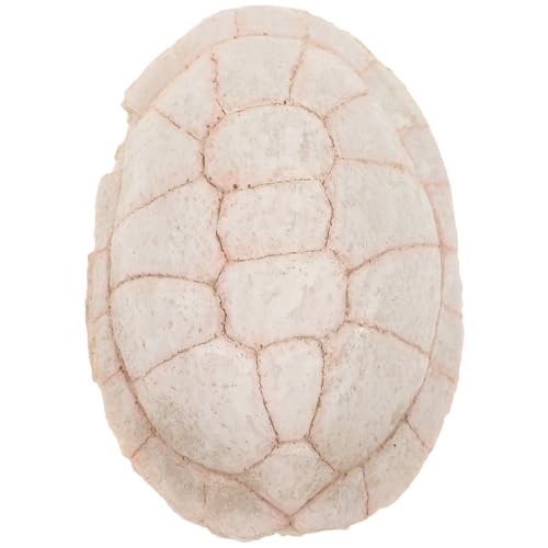 HEMOTON Turtle Shell Hideout für Reptilien Natürlicher Unterschlupf aus Harz für Aquarien und Terrarien Schildkröten Frösche und Eidechsen für Innen und Außenbereiche von HEMOTON