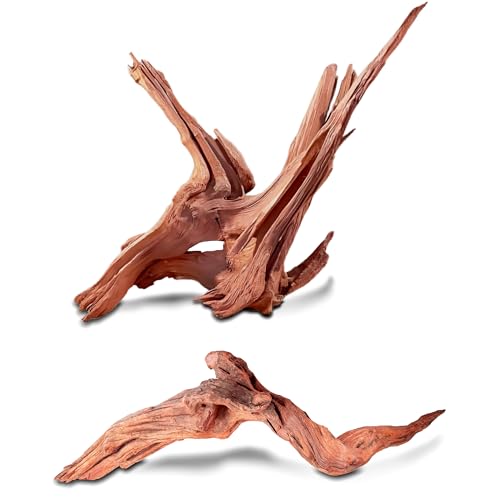 HEMYIS Natürliches Teak-Treibholz, Koralle, Treibholz für Aquarien, sortiert, Punica-Stamm, Treibholzzweig für Reptilien-Dekor (Lila-Teak + Streifen (22,9–30,5 cm oder 0,7–0,8 kg), 2 Stück von HEMYIS