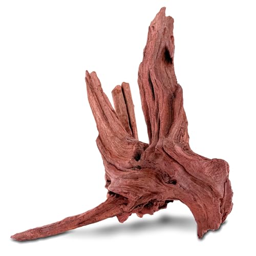 HEMYIS Natürliches Teak-Treibholz, Koralle, Treibholz für Aquarien, sortiert, Punica-Stamm, Treibholzzweig für Reptilien-Dekor (Lila-Teak M (33-48 cm oder 0,5–0,6 kg), 1 Stück von HEMYIS