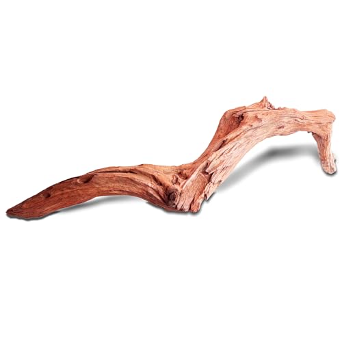 HEMYIS Natürliches Teak-Treibholz, Koralle, Treibholz für Aquarien, sortiert, Punica-Stamm, Treibholzzweig für Reptilien-Dekor (LilaTeak-Streifen, L (33-48 cm oder 0,6-0,8 kg), 1 Stück von HEMYIS