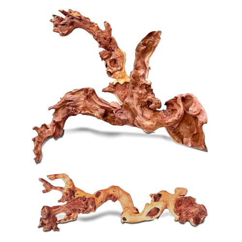 HEMYIS Natürliches Teak-Treibholz, Korallen-Treibholz für Aquarien, sortiert, Punica-Stamm, Treibholzzweig für Reptilien-Dekor (Korallenholz + Streifen (25,4–38,1 cm oder 0,7–0,8 kg), 2 Stück von HEMYIS