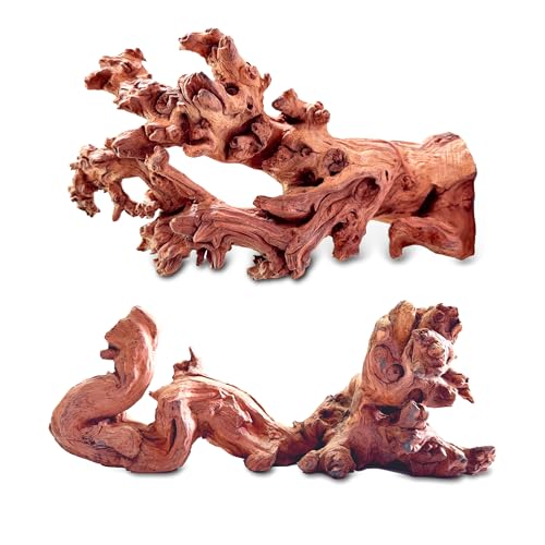 HEMYIS Natürliches Teak-Treibholz, Korallen-Treibholz für Aquarium, sortiert, Punica-Stamm, Treibholzzweig für Reptilien-Dekor (Korallenholz-Strip S (22,9 - 30,5 cm oder 0,3–0,5 kg), 2 Stück von HEMYIS