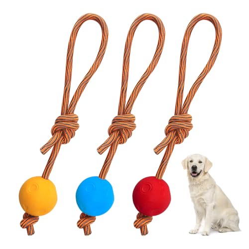 HENGBIRD 3 Stück Hundeball mit Schnur, 5/31 cm Ball mit Schnur Hundespielzeug Ball mit Seil Wurfball für Hunde Spielball Wasserspielzeug Hund Elastischer Wurfball für Große, Kleine Hunde HENGBIRD 3 Stück Hundeball mit Schnur, 5/31 cm Ball mit Schnur Hundespielzeug Ball mit Seil Wurfball für Hunde Spielball Wasserspielzeug Hund Elastischer Wurfball für Große, Kleine Hunde von HENGBIRD