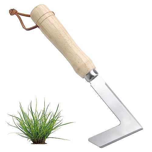 HENGBIRD Fugenkratzer, Unkrautstecher Edelstahl, Fugenkratzer Unkraut Garten, Ergonomischer Holzgriff Fugenmesser zum Entfernen aus Fliesenfugen zu Entfernen für Moos, Jäten, Lösen, 23cm von HENGBIRD