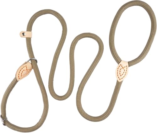 Retrieverleine mit Zugstopp & Hundebürste – 150 cm Hundeleine mit Halsband, einstellbare Anti-Würgen Trainingsleine für kleine & mittlere Hunde, 2-in-1 Leine für Spaziergänge & Pflege von HENGBIRD