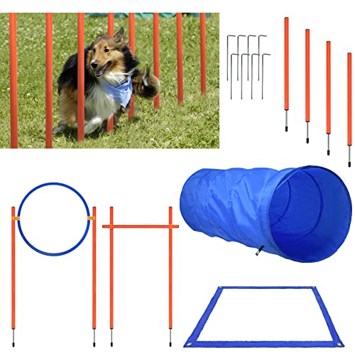 HENGMEI Agility Set Hunde Groß Haustier-Trainingsset mit Hundetunnel Verstellbare Hürden Hindernisse Springring von HENGMEI