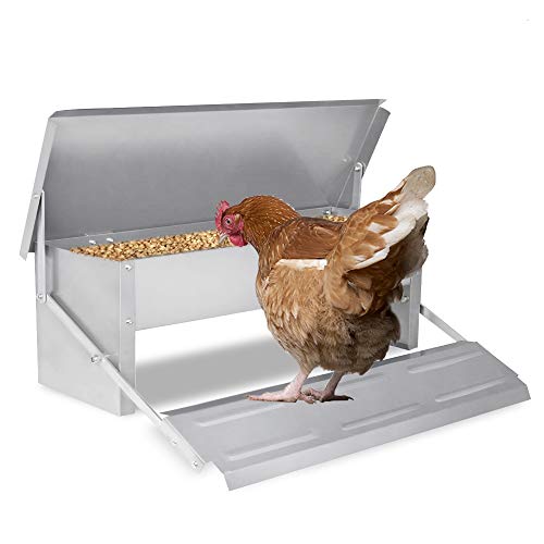 HENGMEI Automatischer Hähnchen Feeder 5kg Kapazität Geflügel-Futterspender selbstöffnend für Geflügel, Hühner, Enten von HENGMEI