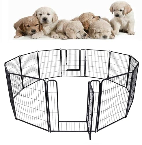 HENGMEI Welpenauslauf Absperrgitter Hund, 80cm Hundebox Hundegitter Wohnung Faltbar Hundekäfig Laufstall für Hunde, Katze, Kaninchen Innen und Outdoor, 12 Teilig HENGMEI Welpenauslauf Absperrgitter Hund, 80cm Hundebox Hundegitter Wohnung Faltbar Hundekäfig Laufstall für Hunde, Katze, Kaninchen Innen und Outdoor, 12 Teilig von HENGMEI
