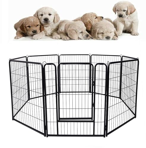 HENGMEI Welpenauslauf Absperrgitter Hund, 80cm Hundebox Hundegitter Wohnung Faltbar Hundekäfig Laufstall für Hunde, Katze, Kaninchen Innen und Outdoor, 8 Teilig HENGMEI Welpenauslauf Absperrgitter Hund, 80cm Hundebox Hundegitter Wohnung Faltbar Hundekäfig Laufstall für Hunde, Katze, Kaninchen Innen und Outdoor, 8 Teilig von HENGMEI