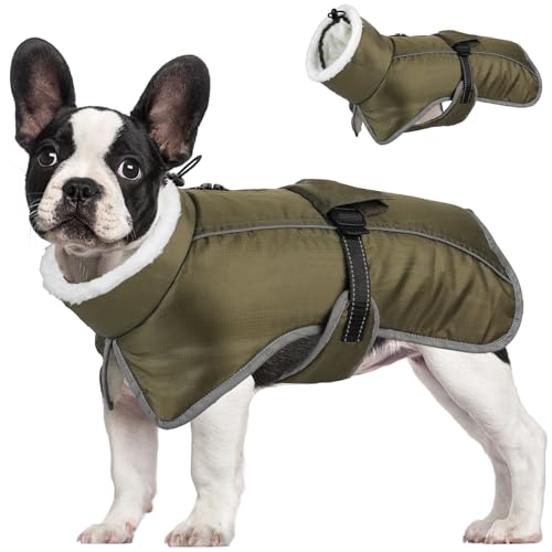 HEPYLAIFU hundemantel Winter Wintermäntel kleine Hunde warme wasserdichte Haustierjacke Chihuahua Bulldogge Teddy Corgi Dackel (Color : Green, Size : L) von HEPYLAIFU