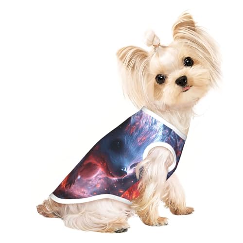 Das feurigrote Igel-Hunde-Shirt für kleine Haustiere, T-Shirt für Mädchen, weiche und atmungsaktive Katzen- und Hundekleidung, geeignet für kleine Haustiere Das feurigrote Igel-Hunde-Shirt für kleine Haustiere, T-Shirt für Mädchen, weiche und atmungsaktive Katzen- und Hundekleidung, geeignet für kleine Haustiere von HERTqwop